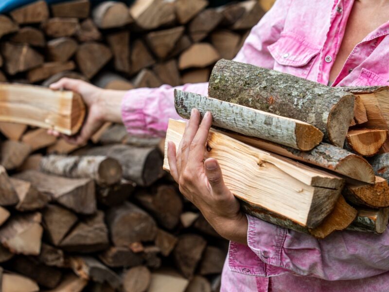 woman in a long-sleeved pink shirt carries firewood while following the best practices for storing fireplace wood